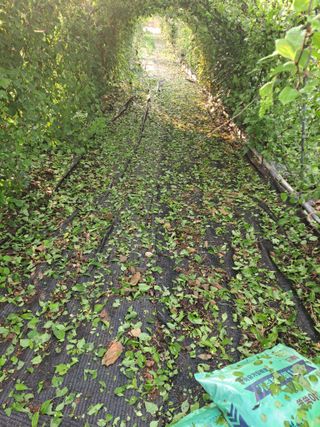 유문식님의 자유주제 · 사진전 작성글 사진