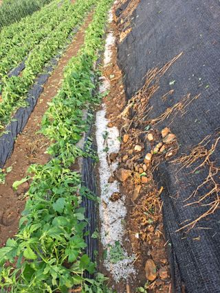 유문식님의 자유주제 · 사진전 작성글 사진