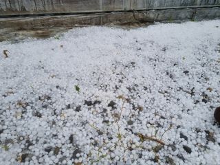 유문식님의 자유주제 · 사진전 작성글 사진