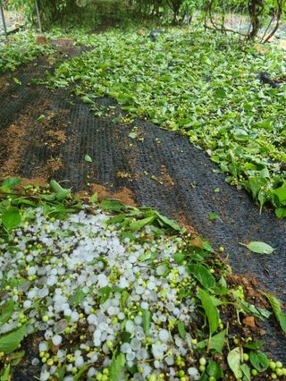 유문식님의 자유주제 · 사진전 작성글 사진