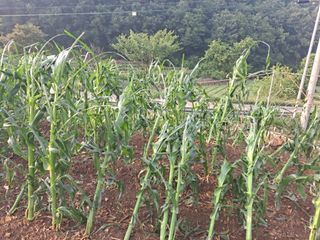 유문식님의 자유주제 · 사진전 작성글 사진