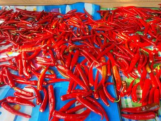 이인구님의 고추 · 일상 작성글 사진