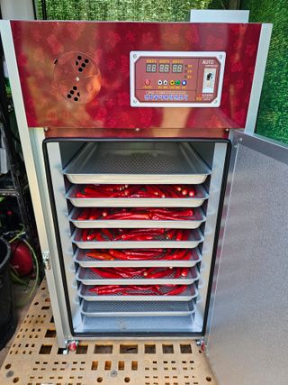 연모 자연의행복님의 고추 · 일상 작성글 사진