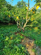 팜모닝 자유주제·자유게시판 게시글 이미지