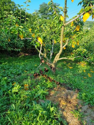 장양농원6606님의 자유주제 · 자유게시판 작성글 사진