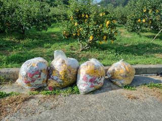 장양농원6606님의 자유주제 · 자유게시판 작성글 사진