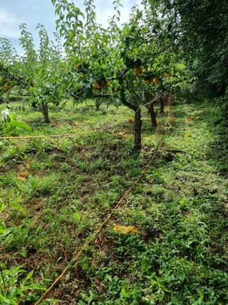 장양농원6606님의 자유주제 · 자유게시판 작성글 사진