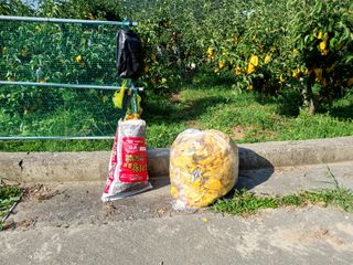 장양농원6606님의 자유주제 · 자유게시판 작성글 사진