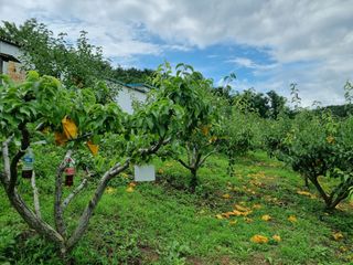 장양농원6606님의 자유주제 · 자유게시판 작성글 사진