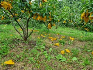 장양농원6606님의 자유주제 · 자유게시판 작성글 사진