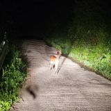 팜모닝 복숭아·자유게시판 게시글 이미지