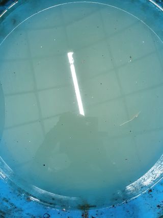 산곡동농장님의 어떤 유기농자재 쓰세요? · 참여글 작성글 사진