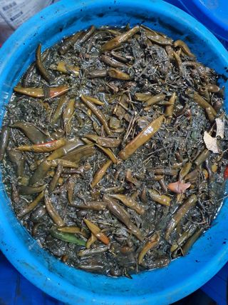 산곡동농장님의 어떤 유기농자재 쓰세요? · 참여글 작성글 사진