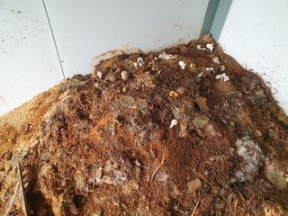 산곡동농장님의 어떤 유기농자재 쓰세요? · 참여글 작성글 사진