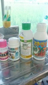 팜모닝 고추·영농일지 게시글 이미지