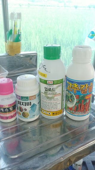왕차이님의 고추 · 영농일지 작성글 사진