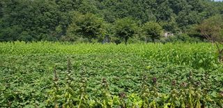 홍&이님의 자유주제 · 자유게시판 작성글 사진