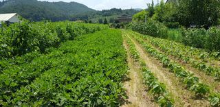 홍&이님의 자유주제 · 자유게시판 작성글 사진