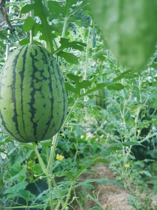 홍&이님의 자유주제 · 자유게시판 작성글 사진