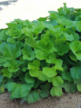 홍&이님의 자유주제 · 자유게시판 작성글 사진