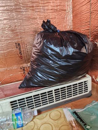 박해용(세건농장)님의 고추 · 수확 작성글 사진