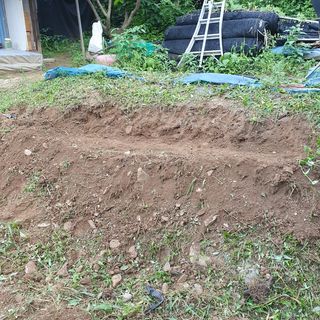 동강님의 블루베리 · 영농일지 작성글 사진