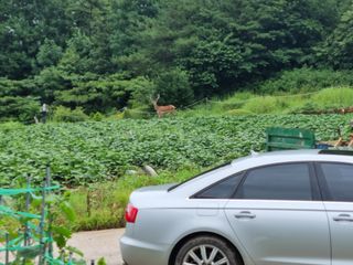자연인님의 고구마 · 자유게시판 작성글 사진