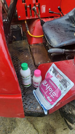 유수골농원님의 자두 · 영농일지 작성글 사진