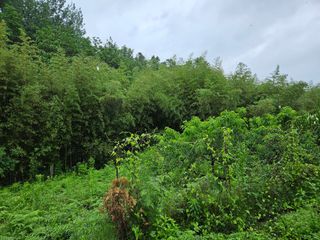 이신님의 어떤 유기농자재 쓰세요? · 참여글 작성글 사진