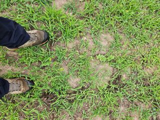 이신님의 어떤 유기농자재 쓰세요? · 참여글 작성글 사진