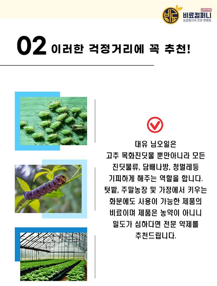 신탄진농약비료마트님의 장터 판매 상품 [대유 프리미엄 님오일 500ml] 첨부 사진