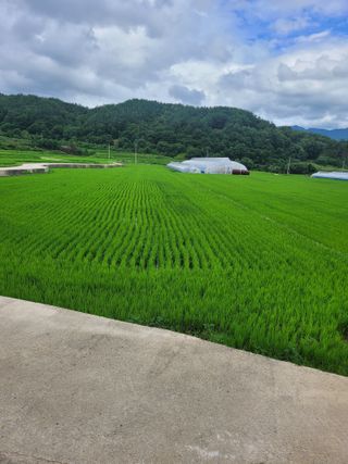 김수환님의 어떤 유기농자재 쓰세요? · 참여글 작성글 사진