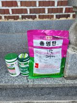 팜모닝 고추·영농일지 게시글 이미지