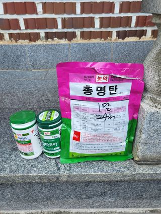 연승흠님의 고추 · 영농일지 작성글 사진