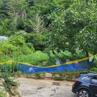 유윤주님의 고구마 · 자유게시판 작성글 사진