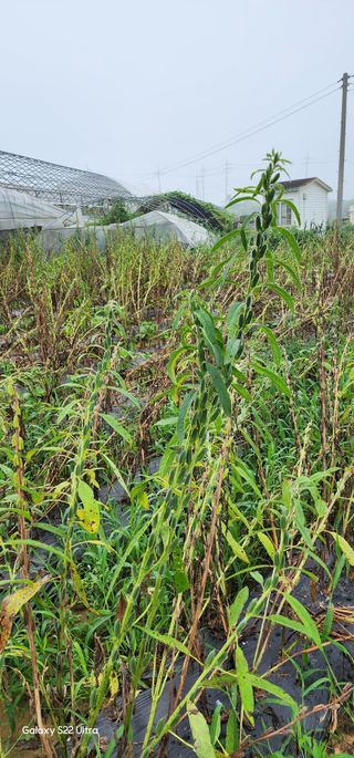 우철28268HQ님의 자유주제 · 자유게시판 작성글 사진