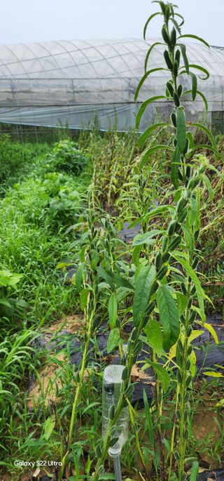 우철28268HQ님의 자유주제 · 자유게시판 작성글 사진