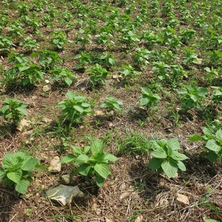 오명희 님의 자유주제 · 자유게시판 작성글 사진