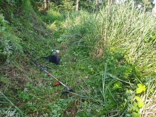 유자황칠님의 벼 · 영농일지 작성글 사진