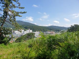 유자황칠님의 벼 · 영농일지 작성글 사진