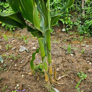 유만종님의 자유주제 · 자유게시판 작성글 사진