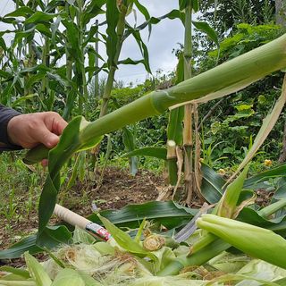 유만종님의 자유주제 · 자유게시판 작성글 사진