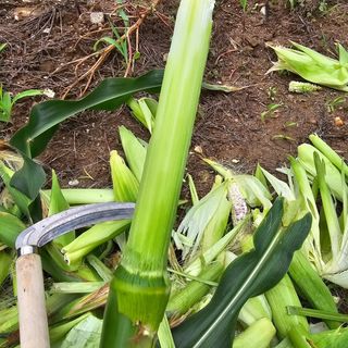 유만종님의 자유주제 · 자유게시판 작성글 사진