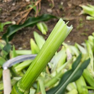 유만종님의 자유주제 · 자유게시판 작성글 사진