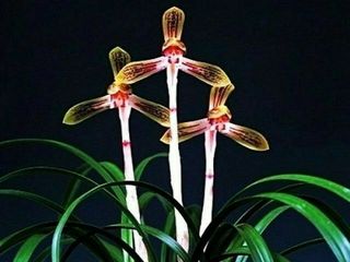 하석홍님의 자유주제 · 자유게시판 작성글 사진