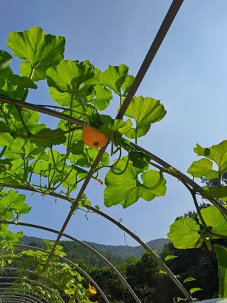 지리산자락님의 자유주제 · 자유게시판 작성글 사진