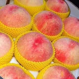 신용돈님의 복숭아 · 자유게시판 작성글 사진