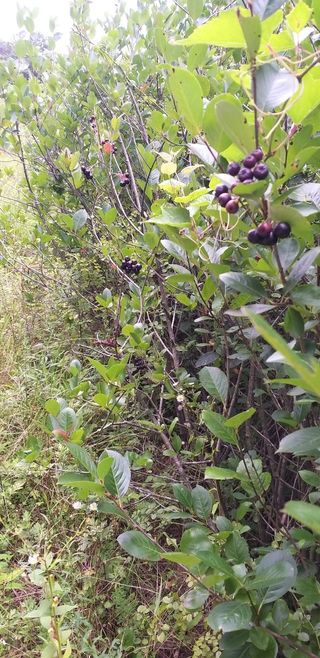 장지영님의 작성글 사진