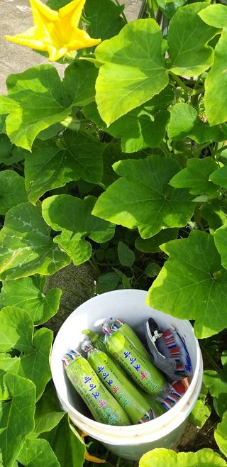 장지영님의 작성글 사진