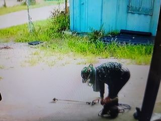 하는 일마다 대박!님의 콩 · 영농일지 작성글 사진